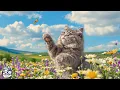 Download Lagu Kalmerende muziek voor angstige katten: rustgevende geluiden voor diepe ontspanning en slaap