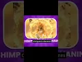Download Lagu untuk selengkapnya nonton di video aku ya