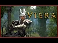 Everything about Viera - FFXIV Races