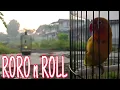 Download Lagu KABAR RORO PAGI INI