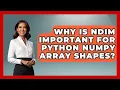 Why Is Ndim Important For Python NumPy Array Shapes - Python Code School