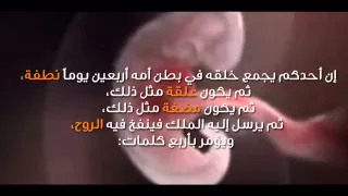 الأربعون النووية الحديث الرابع 