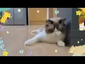 🦝뚱직박스🦝너의 잠을 채워줄게 - 폴킴