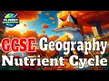 Nutrient Cycle GCSE Geography