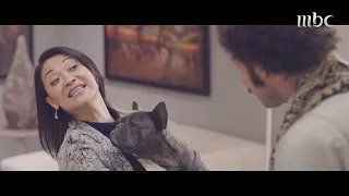 سك على اخواتك هذا ما حدث عندما علم سعادة بسعر الكلب  سك على اخواتك هذا ما حدث عندما علم سعادة بسعر الكلب