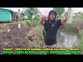 Download Lagu Bikin tangga dirumah bli nyoman dan kita lihat aksi mbah aris