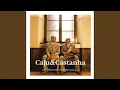 Download Lagu A Mulher Feia e a Mulher Bonita