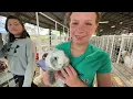 Adair County Fair Board Treasure Taryn King discusses the Fair
