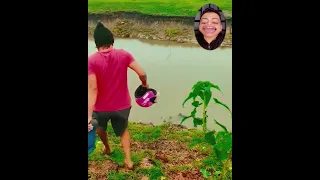 لقطات مضحكه اول مره تشوفها لسعه دماغ 