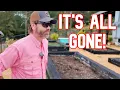 Download Lagu We werden wakker en het was compleet verwoest. En ik heb de schokkende boosdoener gevonden!