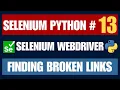 Selenium Python Finding Broken Links