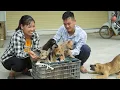 Download Lagu cute dogs - cook family meals with their foster mom.