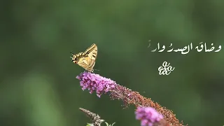 ولي أمل  بربي لا يخيب  دندنها