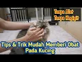 Download Lagu CARA MUDAH MEMINUMKAN OBAT PADA KUCING AGAR TIDAK KEGIGIT | Tips dan Trik Memberi obat pada kucing