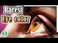 Lagu What Makes Honey-Brown Eyes So Rare? A closer at the rarest eye color