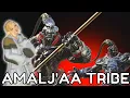 Amalj aa Reputation Rewards Is it Worth it