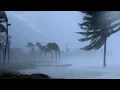Download Lagu Notte Tempestosa Per Dormire All'istante Con Vento Forte, Forti Piogge E Tuoni 🌨 Terribile Uragano