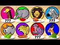 Carnivore vs Herbivore Animals Learn What Wild Animals Eat
