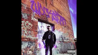 kronik trip official audio 