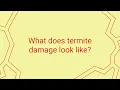 What Does Termite Damage Look Like