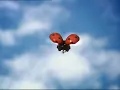 Download Lagu animatiefilm kever en bij