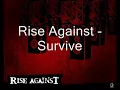 Rise Against - Survive (With Lyrics)