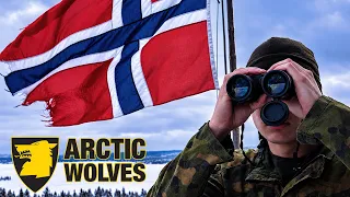 Arctic Wolves