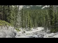 Real Bigfoot sighting in Canada June 2023