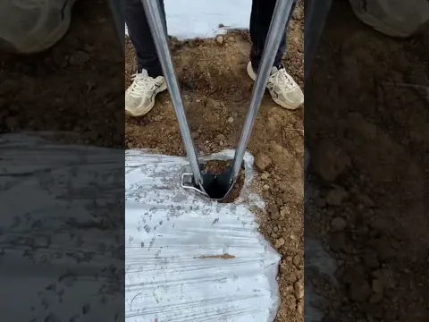 A truly unique tool for planting chili seedlings. #shorts