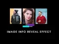 Image Info Box Hover Effect CSS Text Reveal on Hover Effect