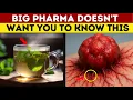 Download Lagu The #2 Herbal Tea That Actually Kills CANCER — Why Is It Being Suppressed? ( Scientifically proven )