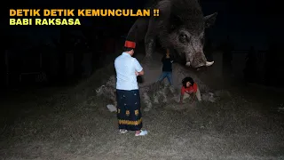 DETIK DETIK KEMUNCULAN BABI RAKSASA