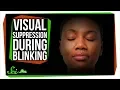 Why Doesn t It Get Dark When You Blink