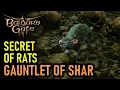 Secret of the Rats in Gauntlet of Shar Baldur s Gate 3 BG3