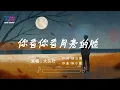 大头针 - 你看你看月亮的脸 (烟嗓男版) 『月亮的脸偷偷的在改变 圆圆的圆圆的月亮的脸』【高質音樂 / 拼音動態歌詞】