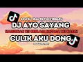 Download Lagu DJ HARUSKAH KU BERLARI KEPADAMU KASIH | DJ AYO SAYANG CULIK AKU DONG VIRAL TIKTOK 2024 REVERB