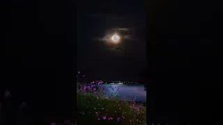 حسين العلي أعز الناس فارقني جلسه دندنها