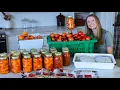 The Ultimate Harvest Preserve Marathon Spaghetti Sauce Pie Filling More