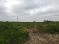 10 06 acres in Uvalde County TX