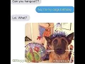 No it s my dogs birt ay