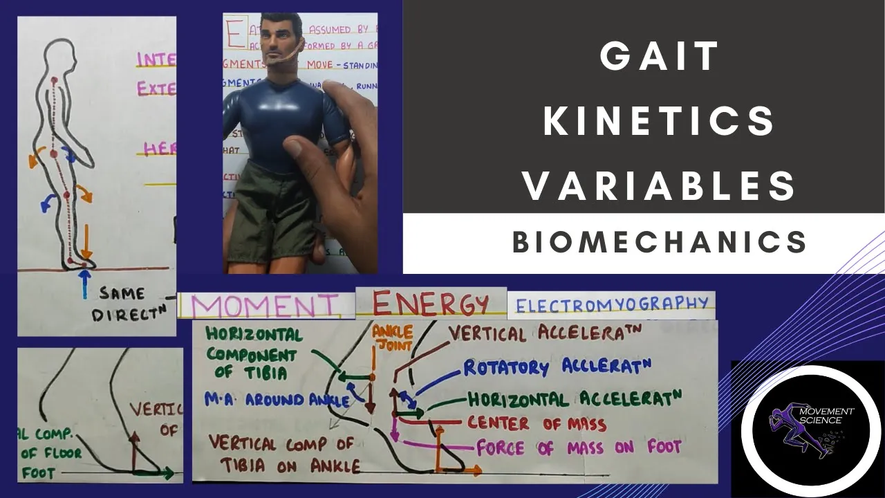 KINETICS VARIABLES (Gait Biomechanics)Physiotherapy Tutorial