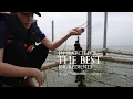 Download Lagu Restaurant POTONG: In search for the best ingredients | Oyster |