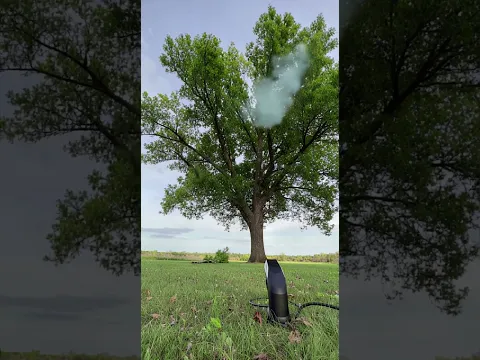 A High Power Laser Cuts Tree Branches in Seconds  The Future of Tree Trimming