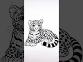 Tiger coloring pages