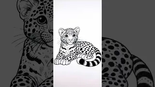 Tiger coloring pages