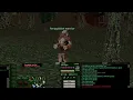 Bard solo Amygdalan Warrior EverQuest P99 Green