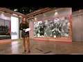 Molly Qerim - First Take September Highlights 2021