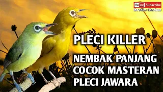 Download PLECI KILLER MILIK(OM NDOK TATO)||NEMBAK PANJANG COCOK MASTERAN PLECI JAWARA MP3