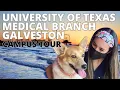University of Texas Medical Branch Campus Tour - Walk with Me Around UTMB in 4K Galveston
