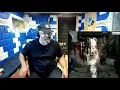 Korn   Did My Time Official Music Video - Producer Reaction